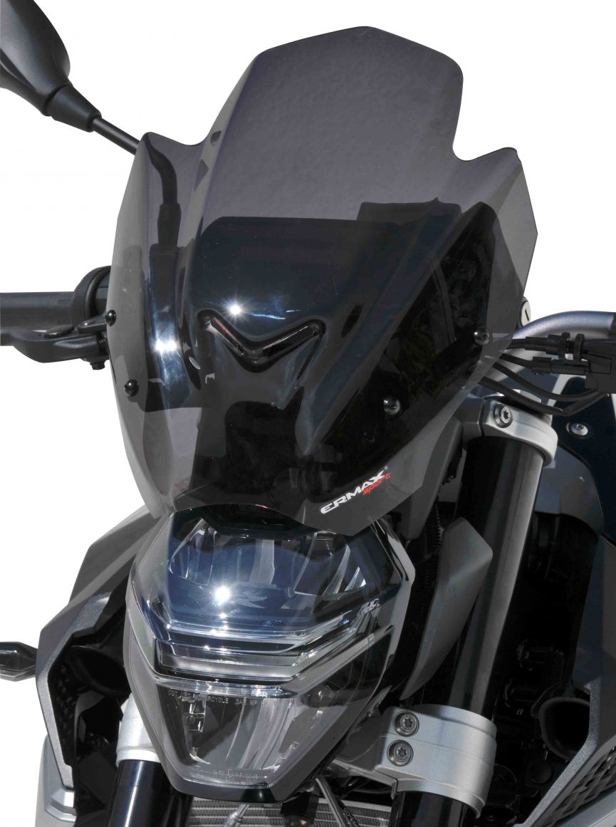 Ermax windscherm BMW F900 R vanaf 2020 Sport